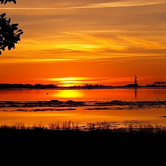 Meet your Posher, James - Picture 1 of 1